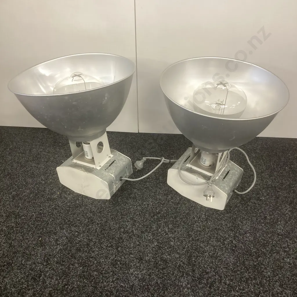 Pair of Industrial Lights With Bulbs Image 1++