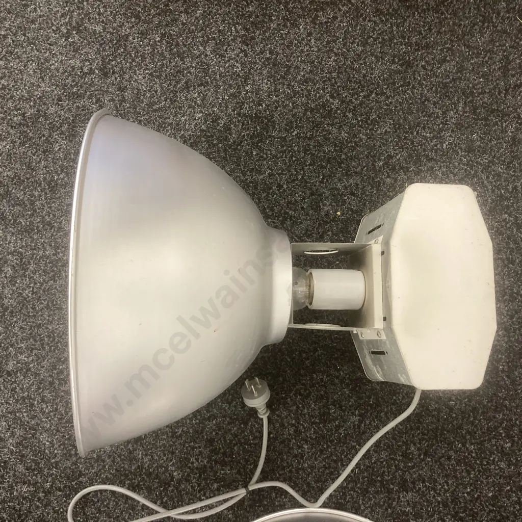 Pair of Industrial Lights With Bulbs Image 1++
