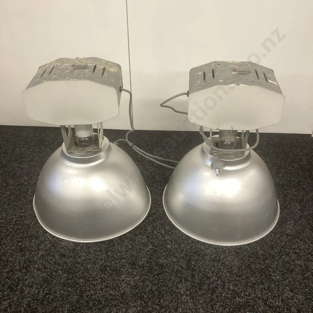 Pair of Industrial Lights With Bulbs Image 1++