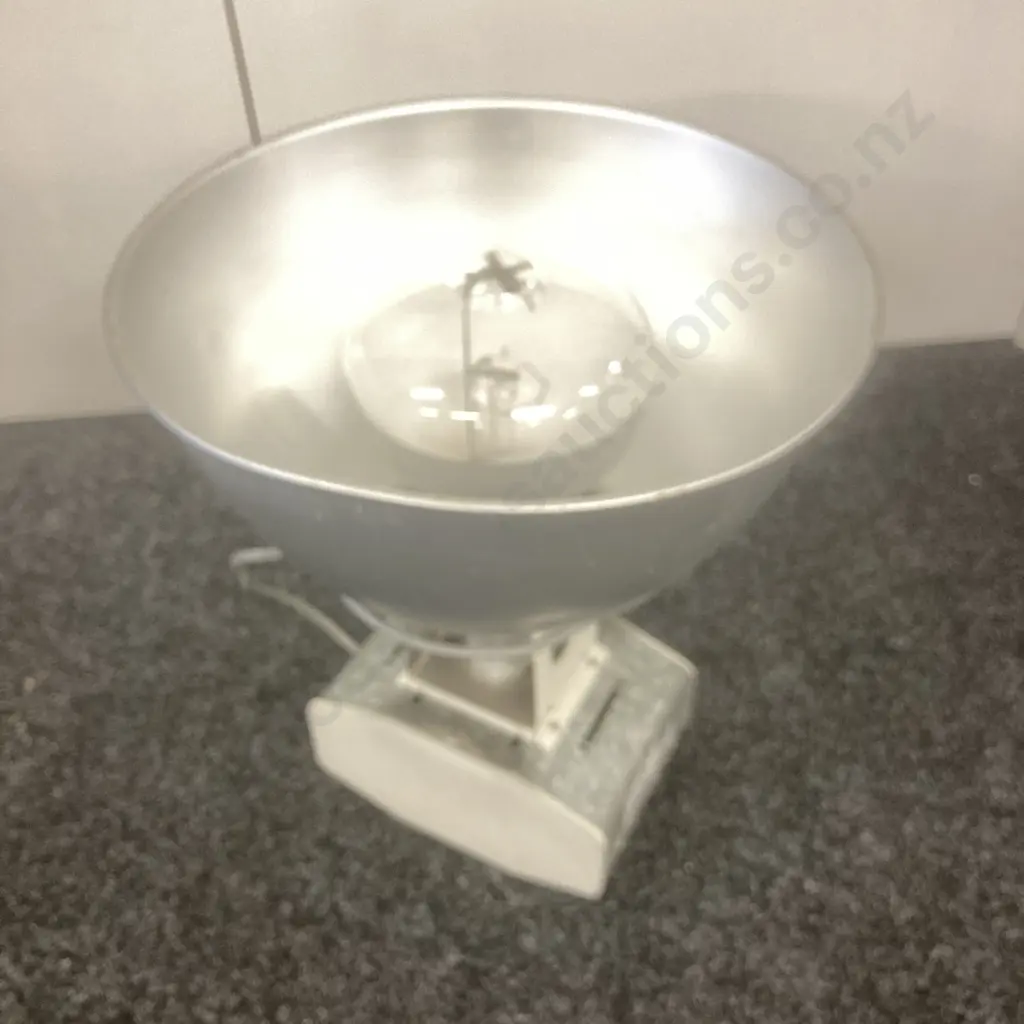 Pair of Industrial Lights With Bulbs Image 1++