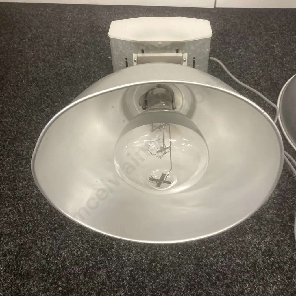 Pair of Industrial Lights With Bulbs Image 1++