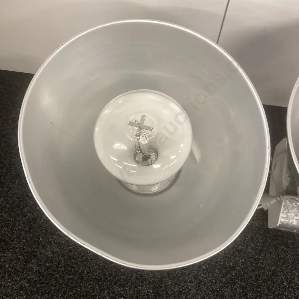 Pair of Industrial Lights With Bulbs Image 1++