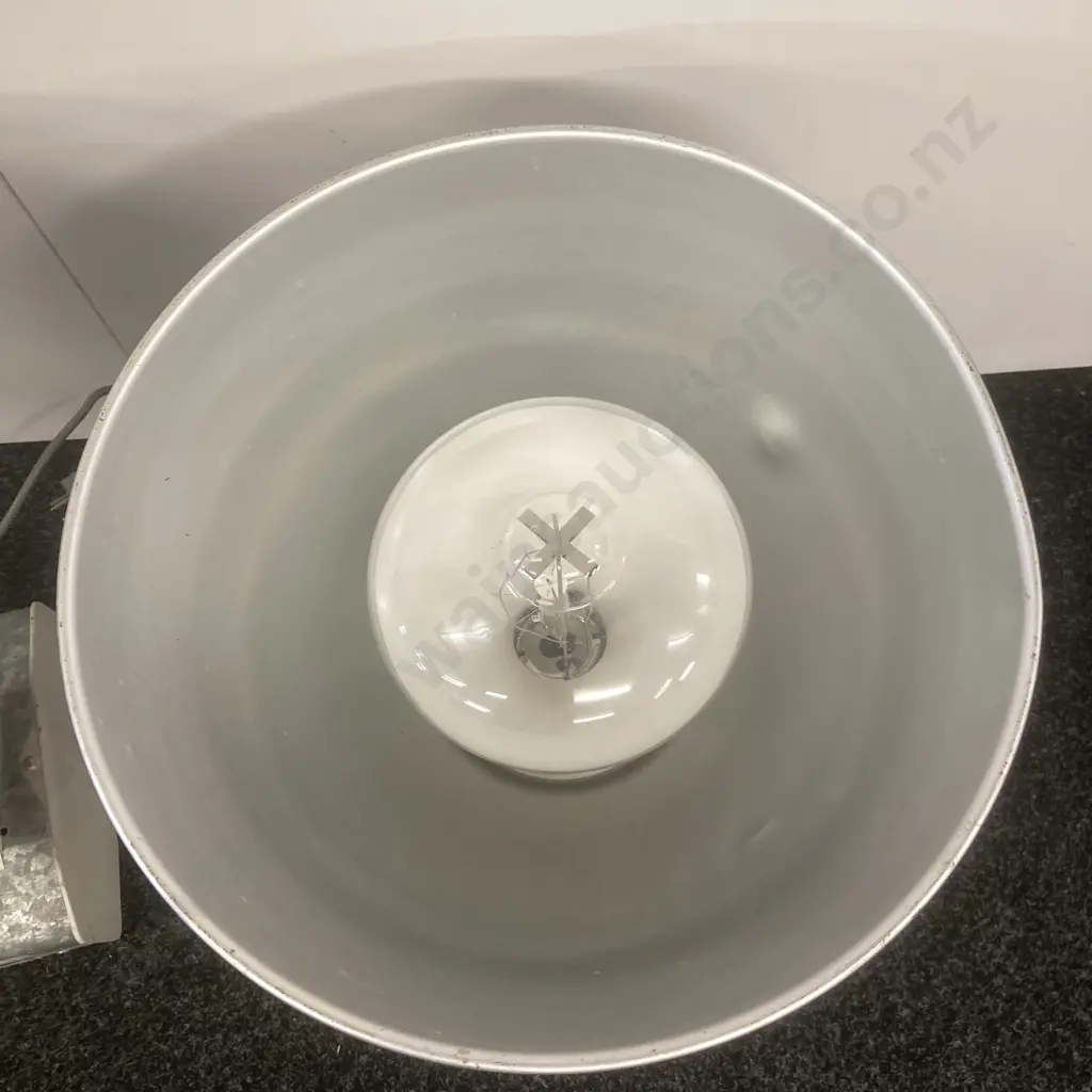 Pair of Industrial Lights With Bulbs Image 1++