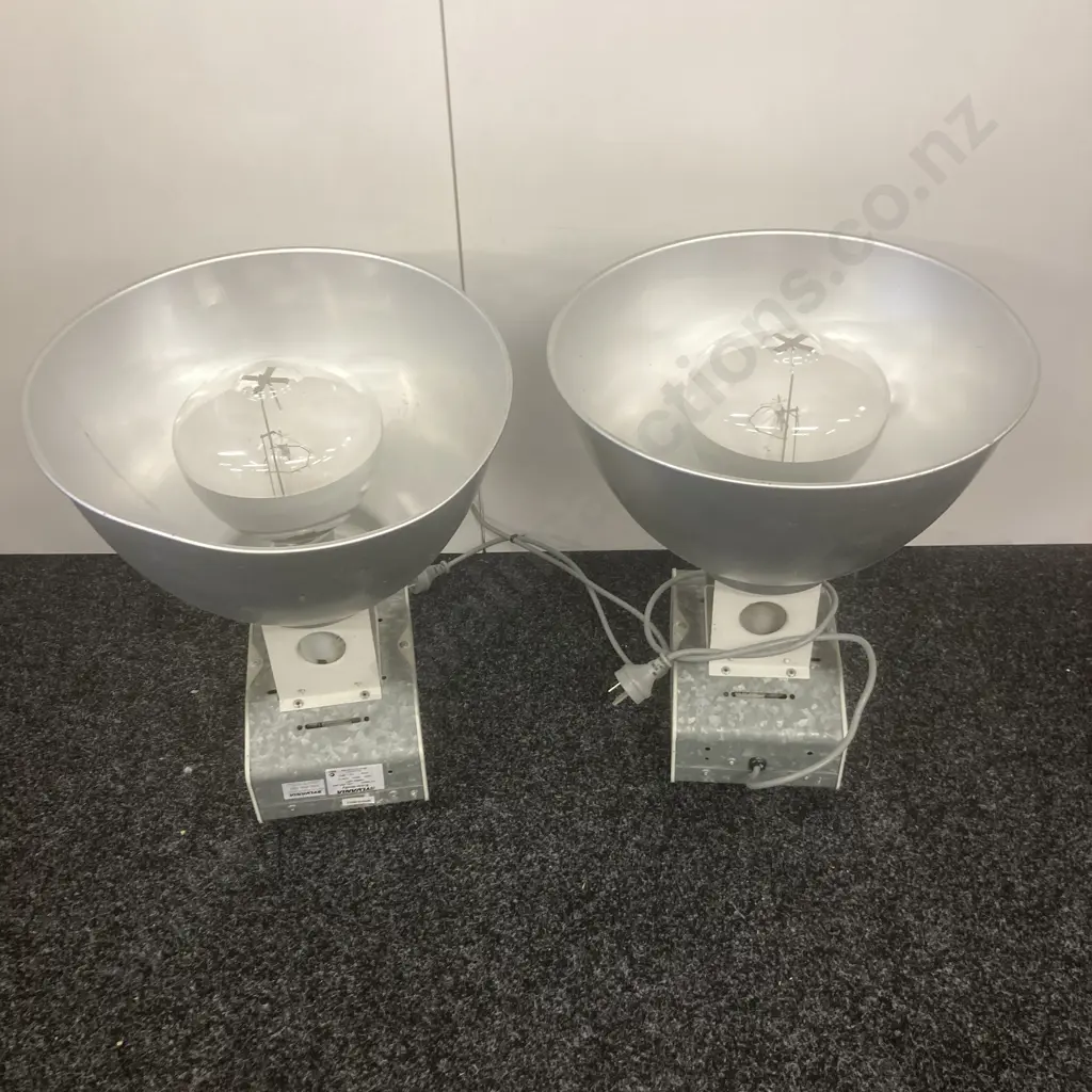 Pair of Industrial Lights With Bulbs Image 1++