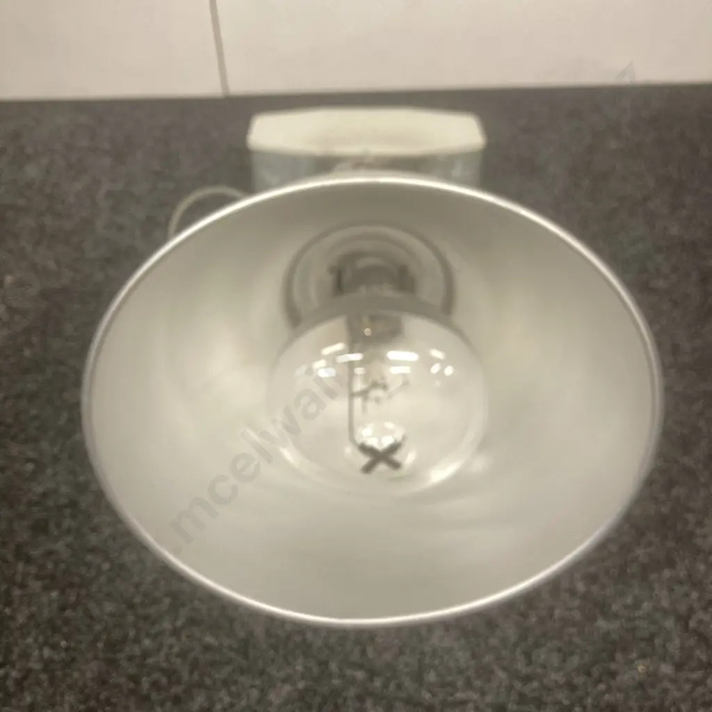 Pair of Industrial Lights With Bulbs Image 1++