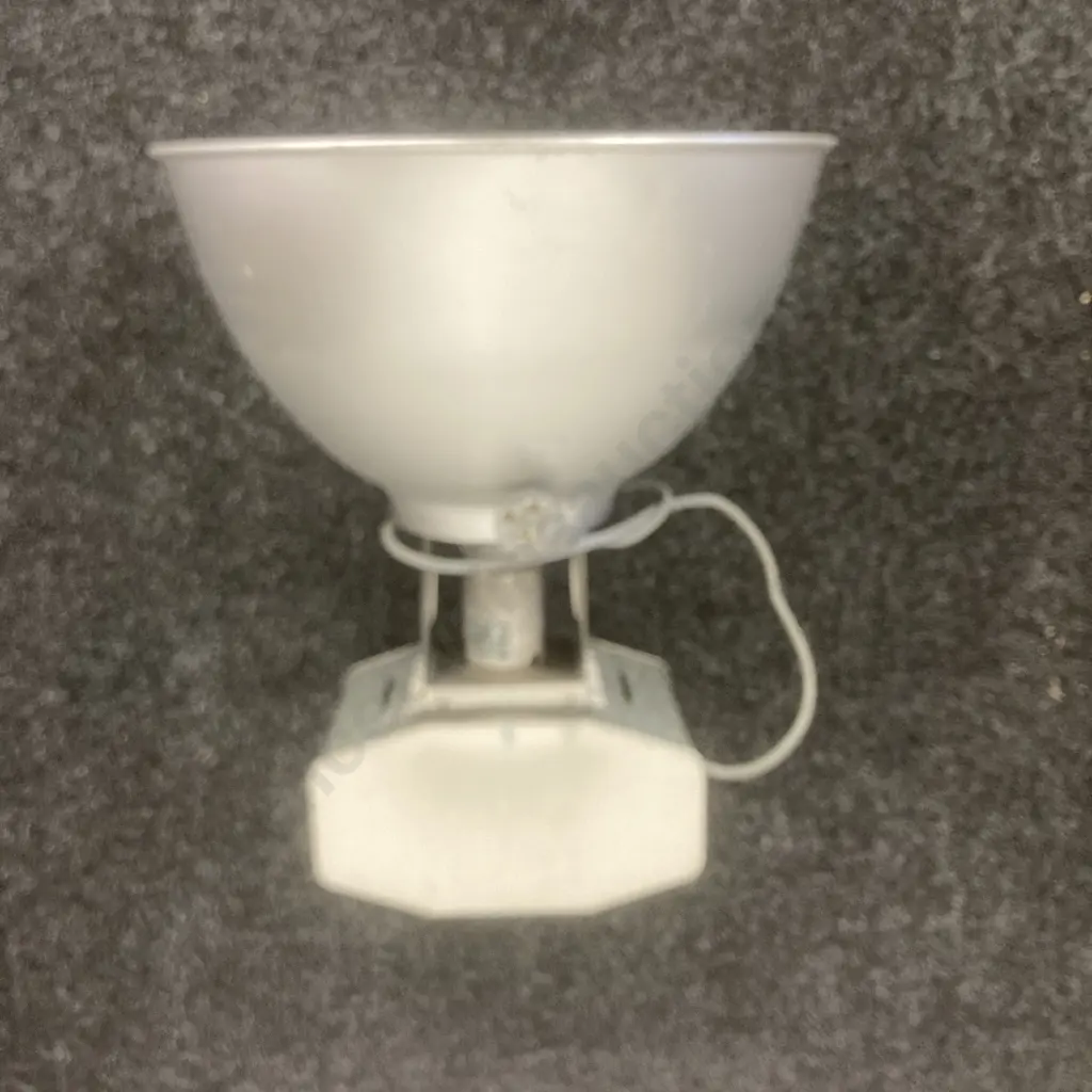 Pair of Industrial Lights With Bulbs Image 1++
