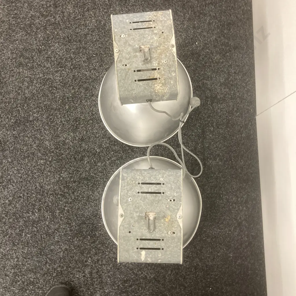 Pair of Industrial Lights With Bulbs Image 1++