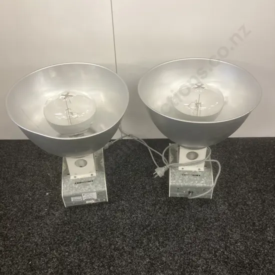 Pair of Industrial Lights With Bulbs