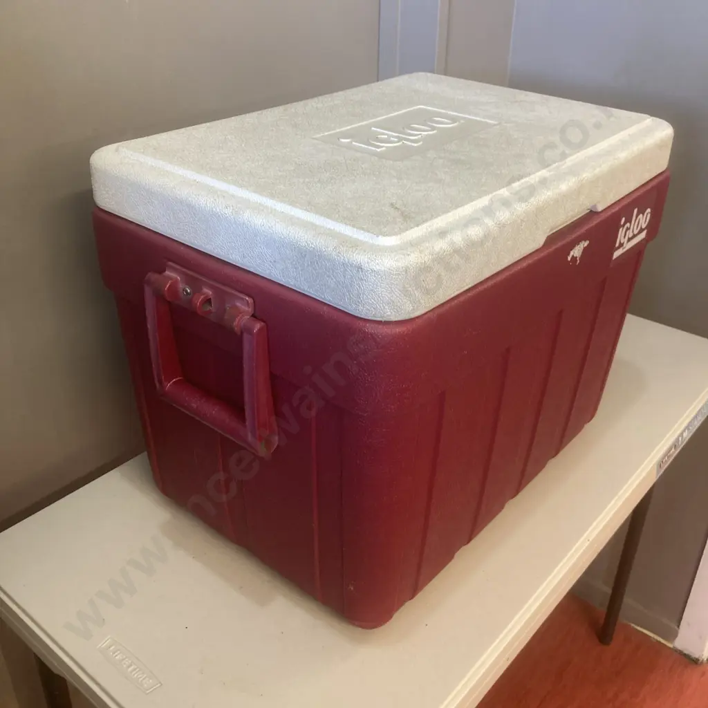 Large IGLOO Chilly Bin, 47 x 52cm Image 1++