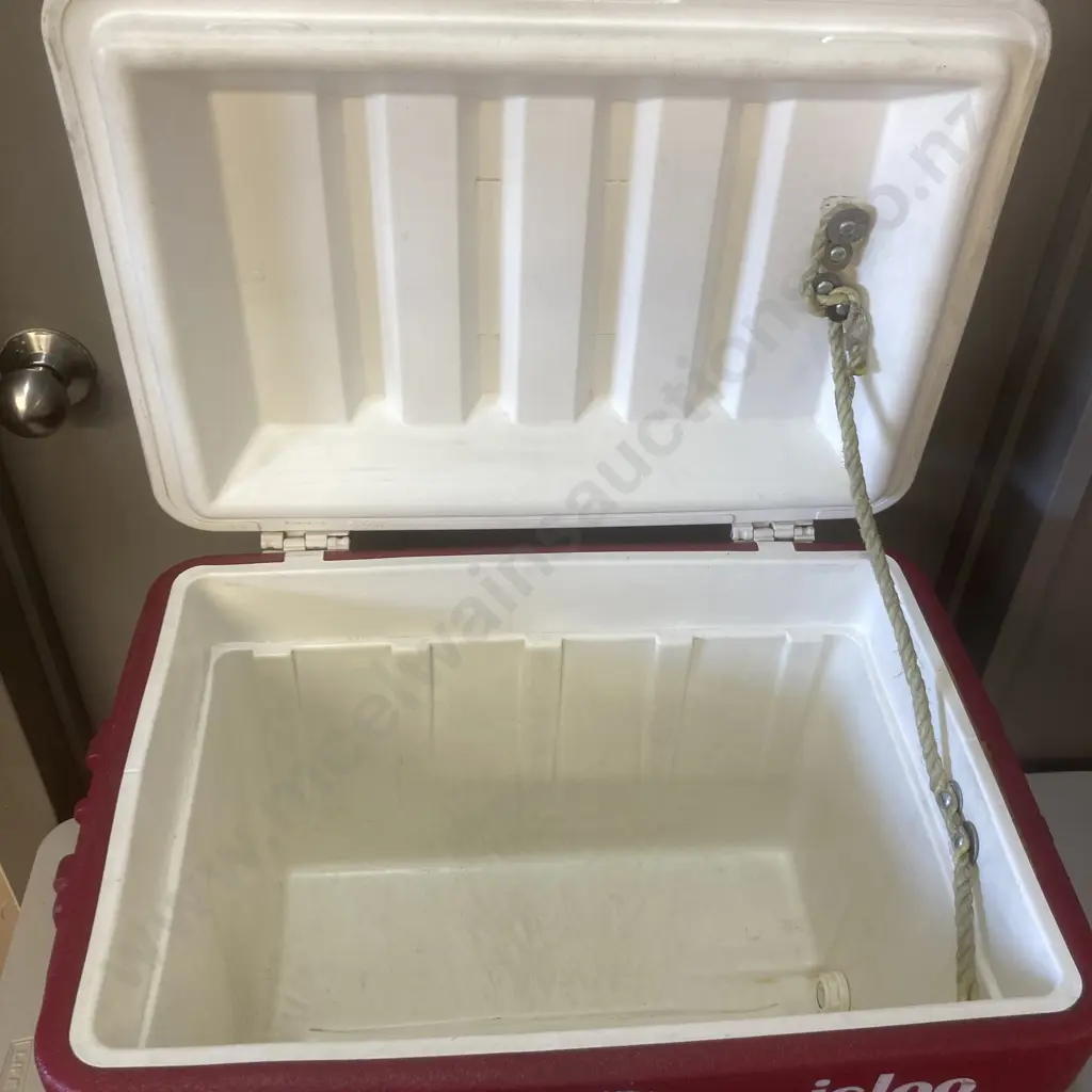 Large IGLOO Chilly Bin, 47 x 52cm Image 1++