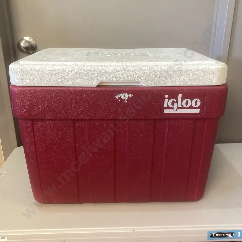 Large IGLOO Chilly Bin, 47 x 52cm Image 1++