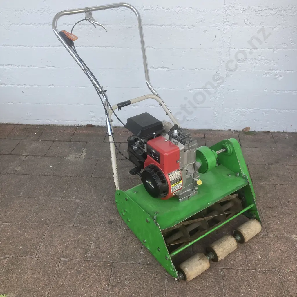 Reel Mower With Catcher, Briggs & Stratton 3.5Hp Engine Image 1++