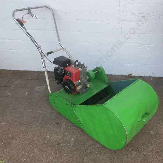 Reel Mower With Catcher, Briggs & Stratton 3.5Hp Engine