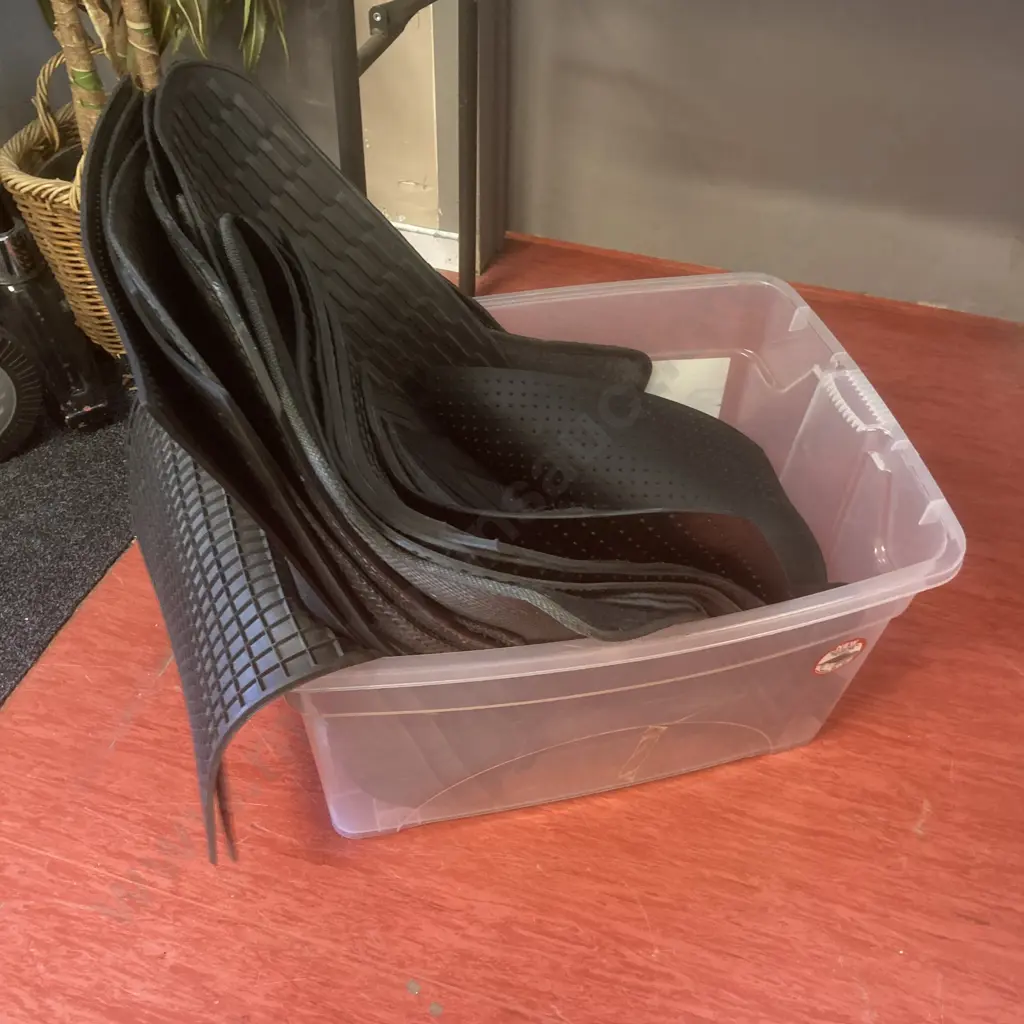 Box lot Assorted Car Mats Image 1++