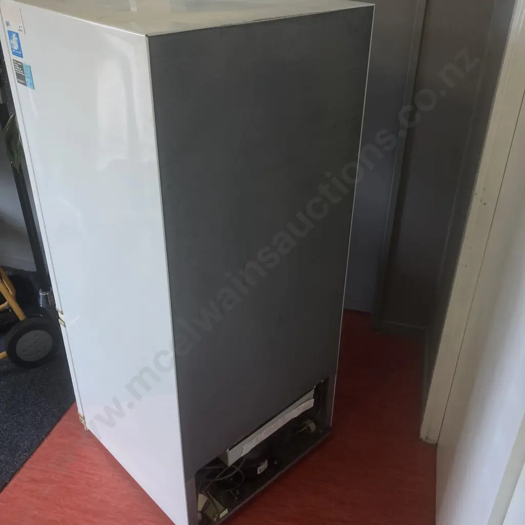 Fisher & Paykel Frigidaire Fridge With Drawer At Base, Model C365H Image 1++