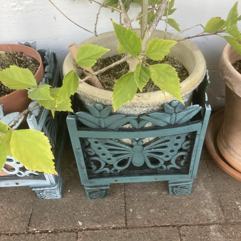 Pot Plants In Ornate Pot Stands x 2 With a Plant In Pot Image 1++