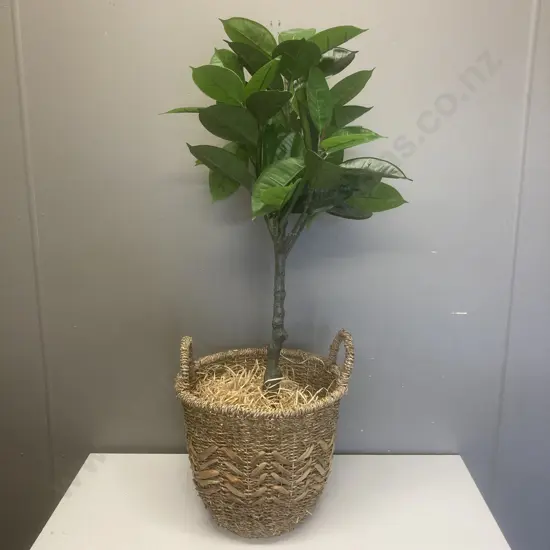 Faux Plant In Double Handled Wicker Basket, 103 x 37cm
