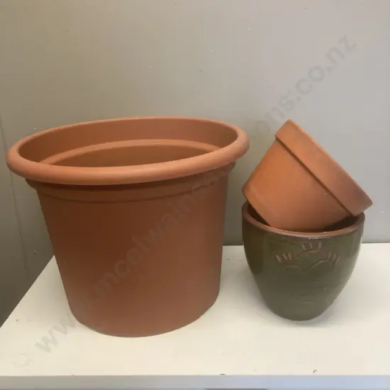Large Plastic Plant Pot & 2 Terracotta Pots