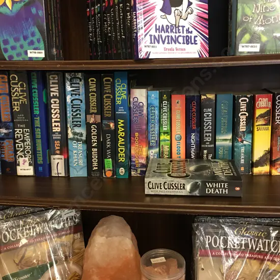 Lot of 25 Clive Cussler Novels