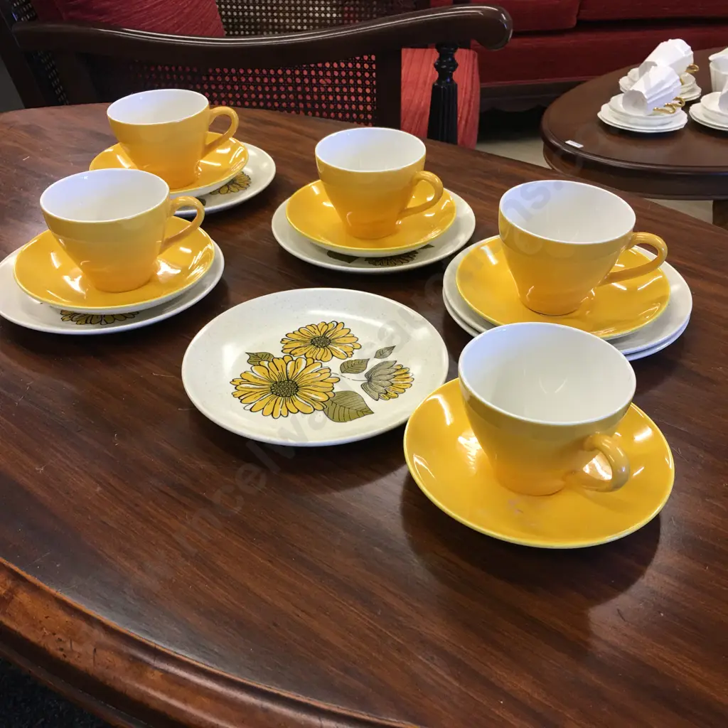 Vintage Crown Lynn Charmaine Set of 6 Plates With 5 Cups & Saucers Image 1++