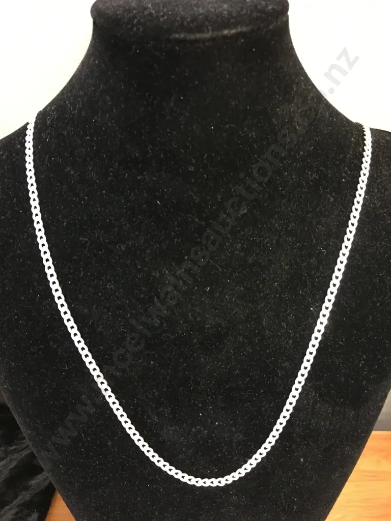 Silver Chain With 925 Stamped On Clasp (Clasp Broken) Image 1++