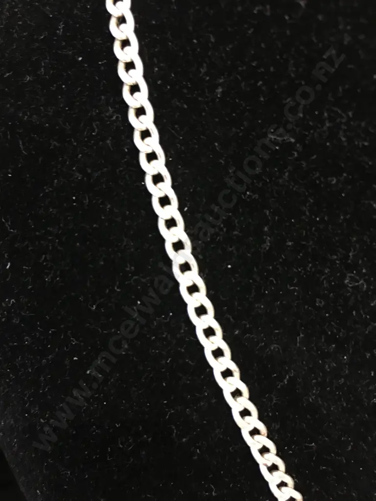 Silver Chain With 925 Stamped On Clasp (Clasp Broken) Image 1++