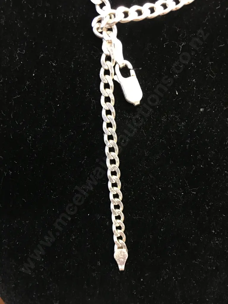 Silver Chain With 925 Stamped On Clasp (Clasp Broken) Image 1++