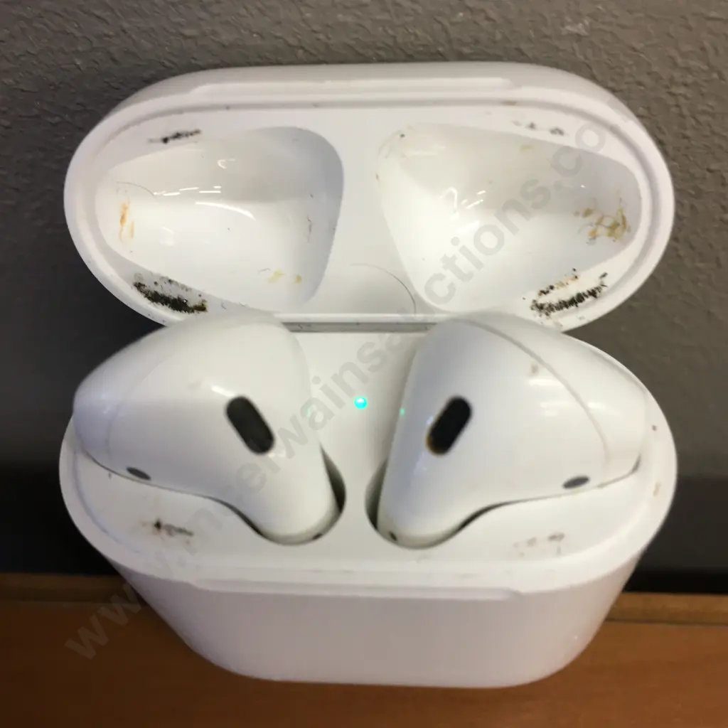 Apple Airpods A1602 With Clear Floral Case Image 1++