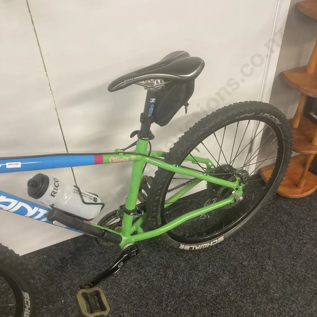 Avanti Spice Bicycle Model Al-1190 Blue & Green Image 1++