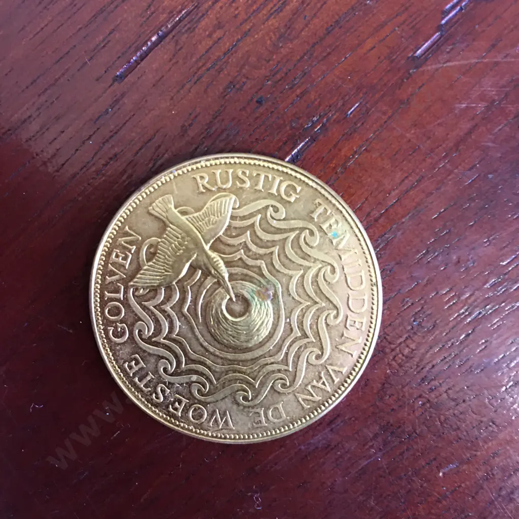 Rustic Temidden Van De Woeste Golven Coin Image 1++