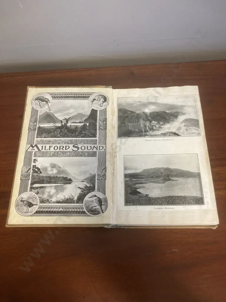1902 Nature in New Zealand - J Drummond and Capt. Hutton Image 1++