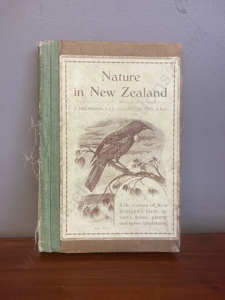1902 Nature in New Zealand - J Drummond and Capt. Hutton Image 1++
