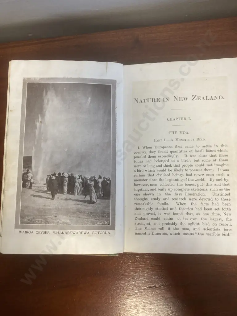 1902 Nature in New Zealand - J Drummond and Capt. Hutton Image 1++