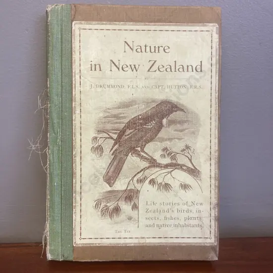 1902 Nature in New Zealand - J Drummond and Capt. Hutton