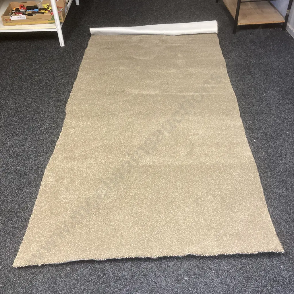 Carpet Pieces x 2 - 67 x 156 & 130 x 280cm Image 1++