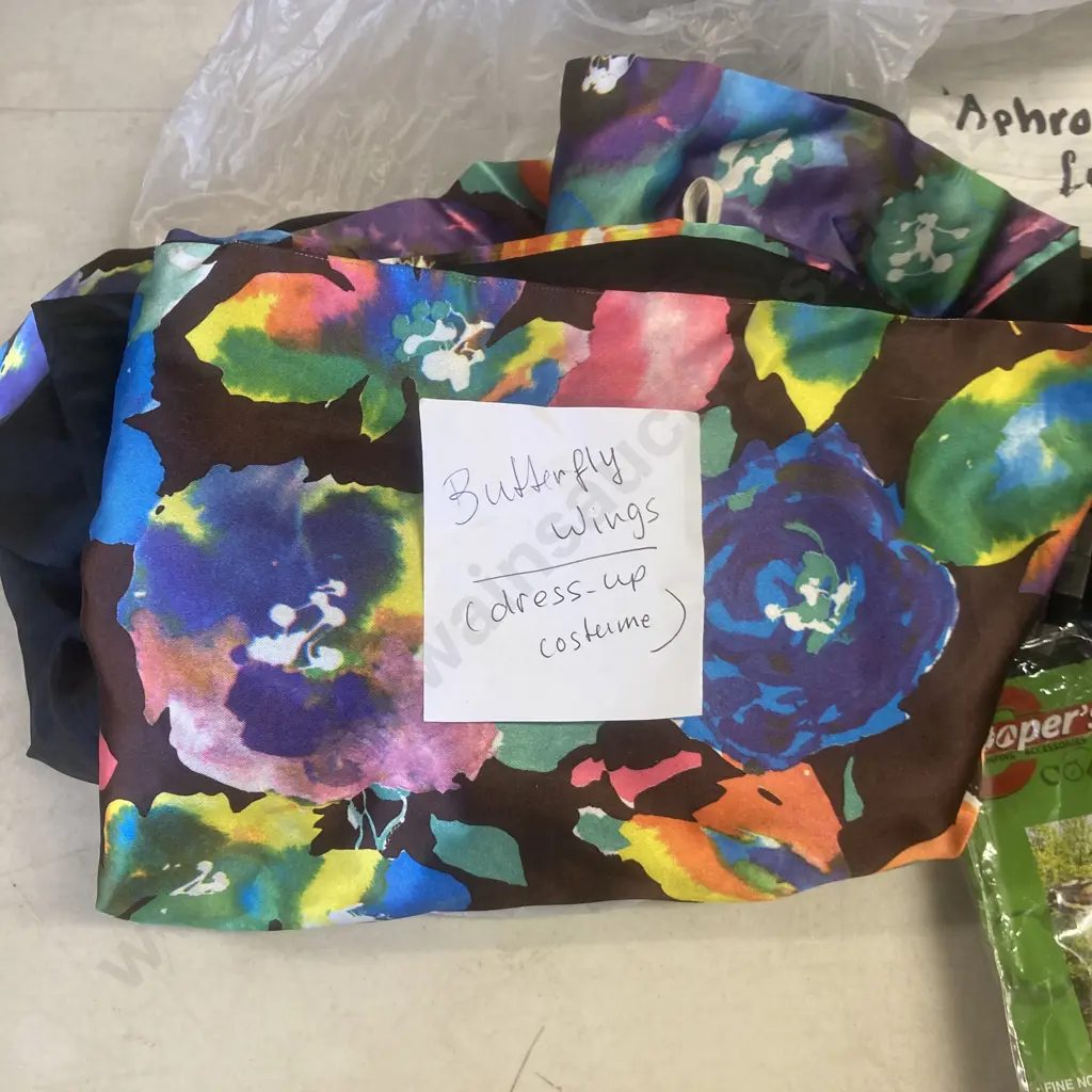 Box Lot Dress Ups, Belts, Masks Etc Image 1++