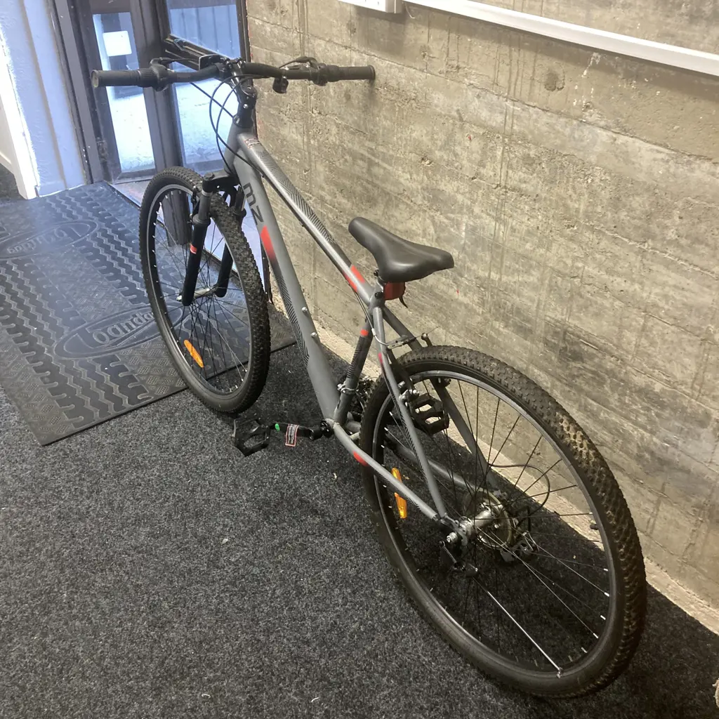 MZ Mountain Bike, Grey / Black / Red Image 1++