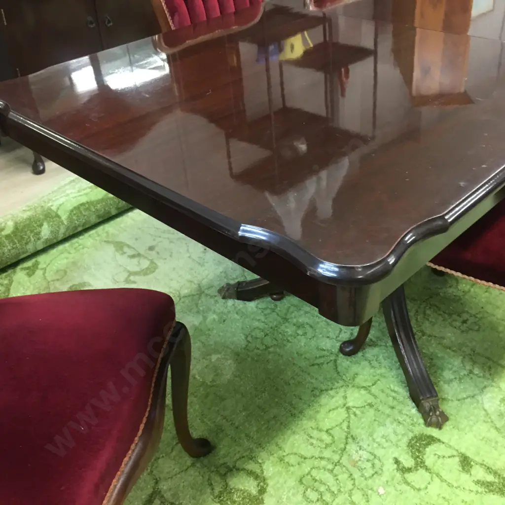 "Du Burg" Mahogany Extension Table, Double Pedestal Brass Claw Feet & 6 Red Velvet Button Back Dining Chairs Image 1++