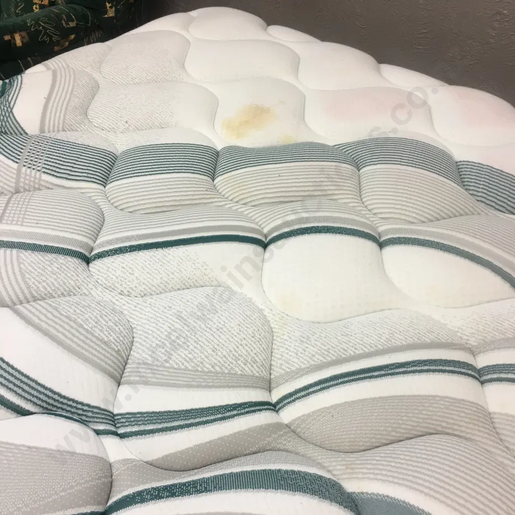 Sleepyhead Chiropractic Elite Sleep Medium Queensize Mattress & Base Image 1++