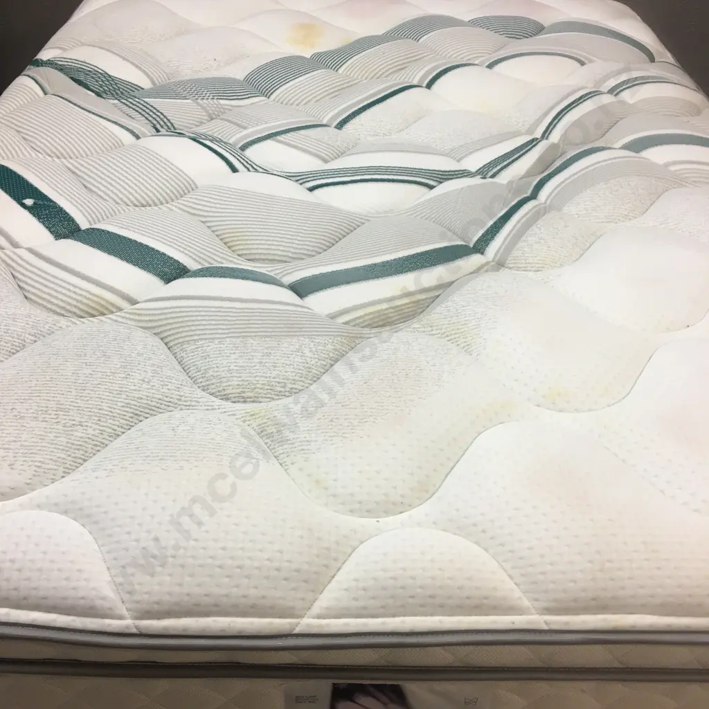 Sleepyhead Chiropractic Elite Sleep Medium Queensize Mattress & Base Image 1++