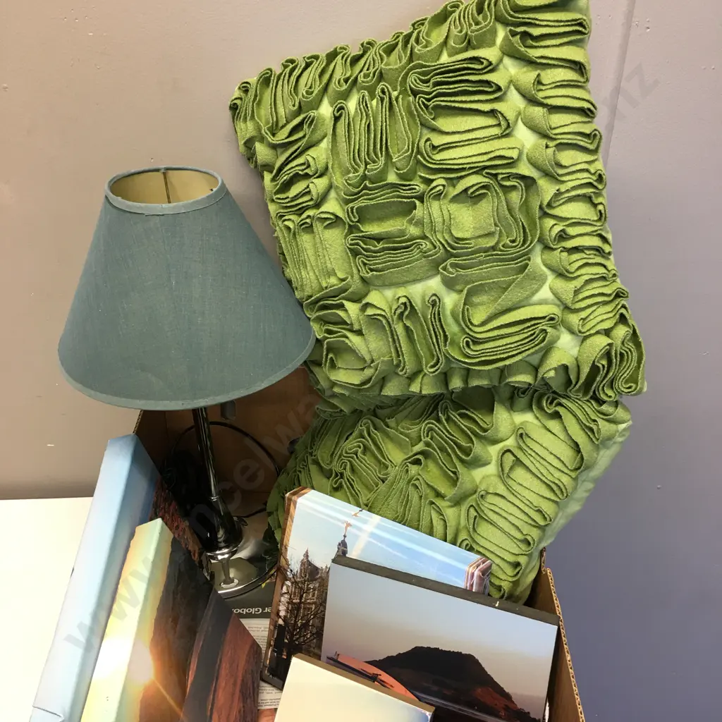 Box Of Cushions, Artwork & Table Lamp Image 1++