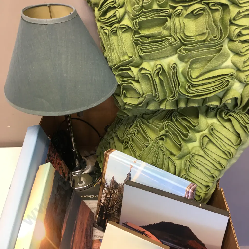 Box Of Cushions, Artwork & Table Lamp Image 1++