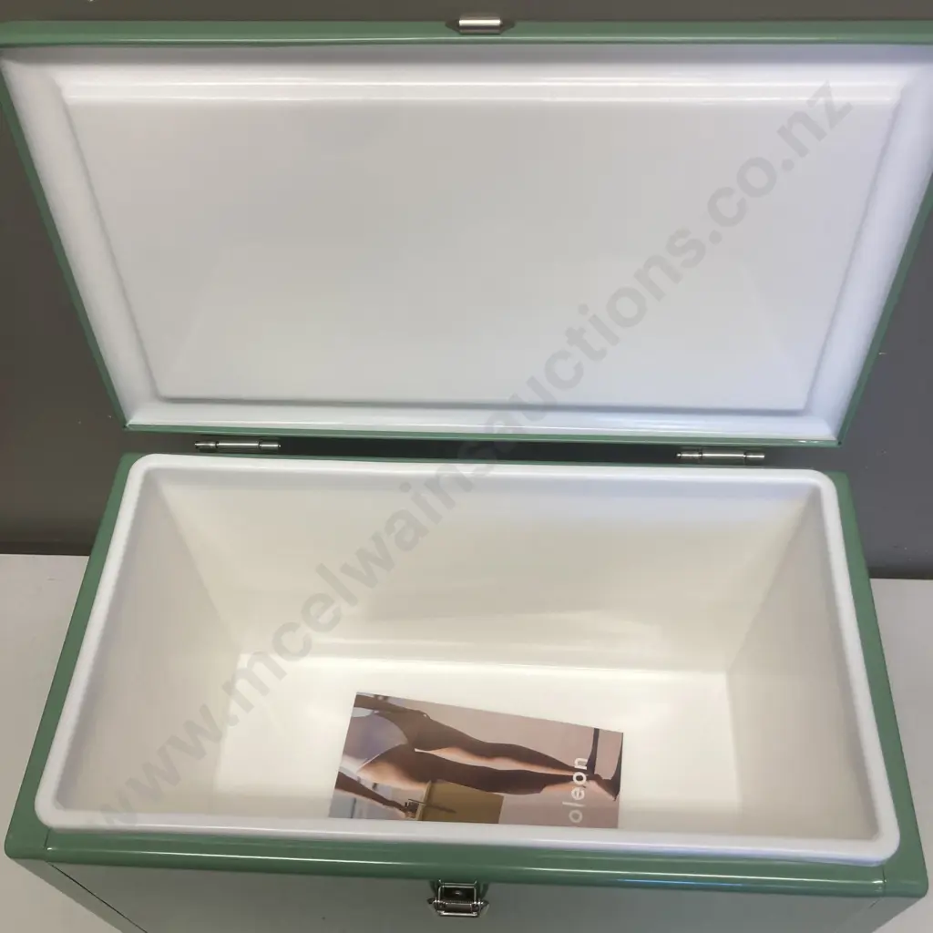 New Napoleon Classic Metal Chilly Bin In Sage Green Colour Image 1++