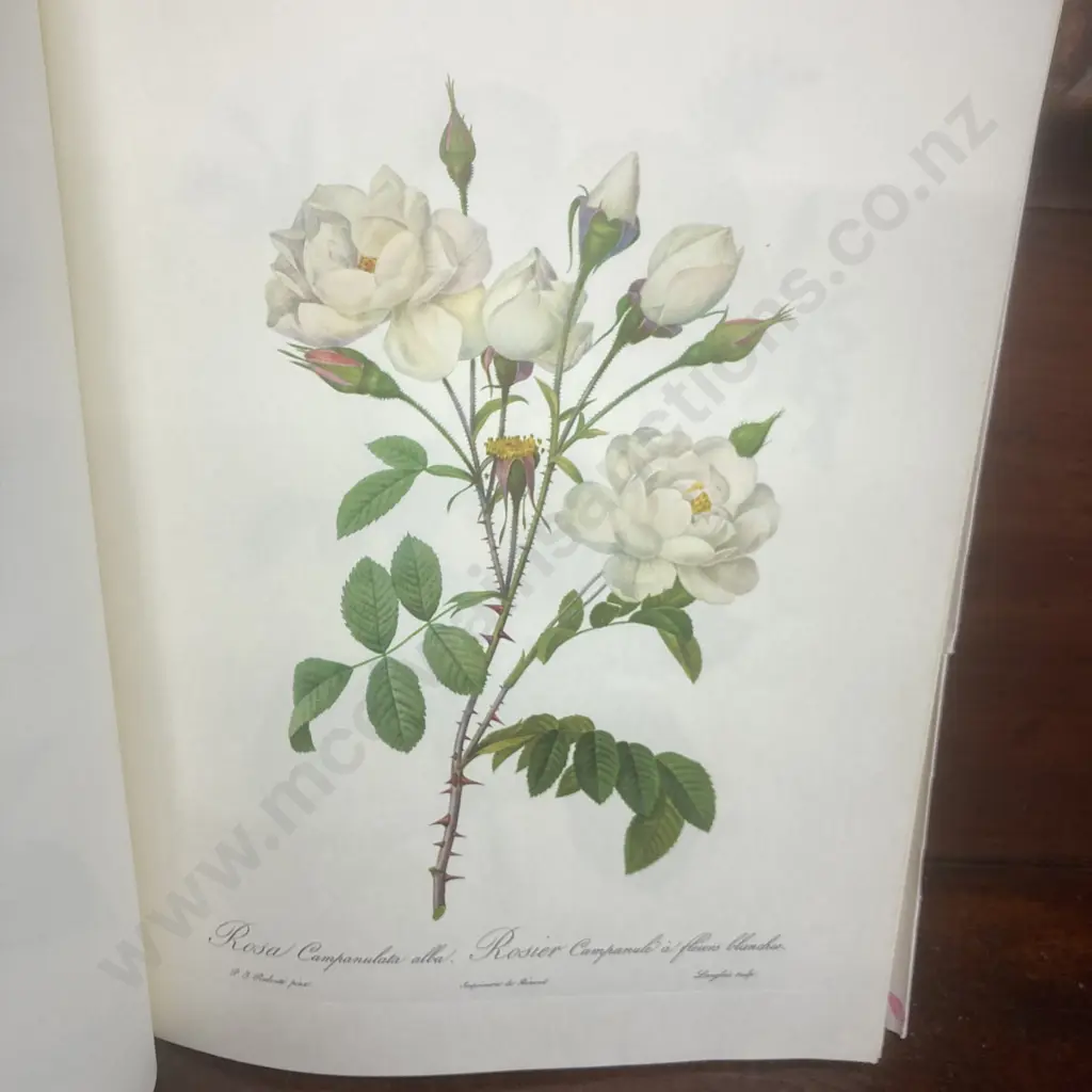 The Best of Redouté's Roses Selected by Eve Mannering 3rd Edition Ariel Press 1972 Image 1++