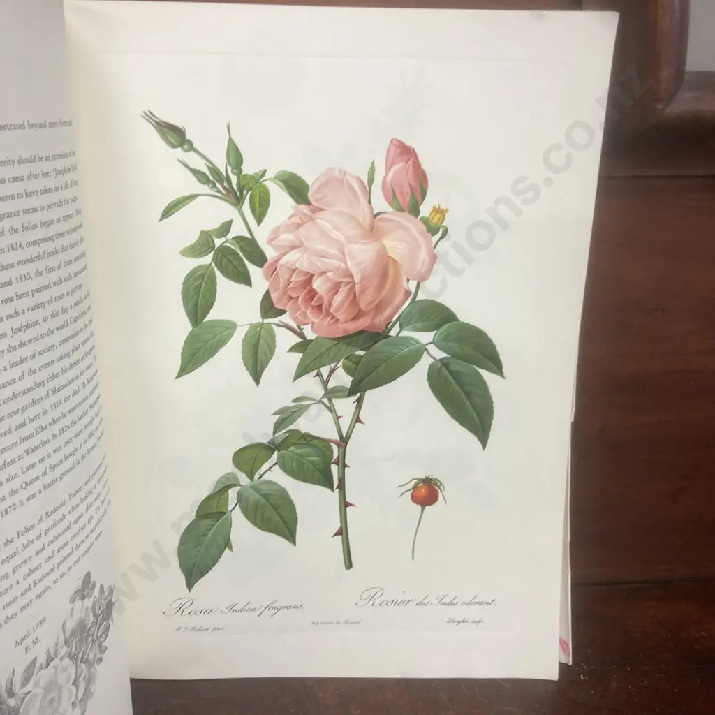 The Best of Redouté's Roses Selected by Eve Mannering 3rd Edition Ariel Press 1972 Image 1++
