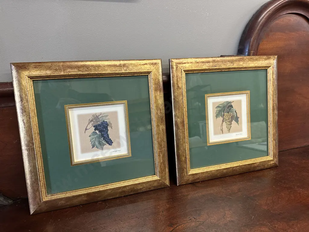 Pair Of Gilt Framed Artwork 'Muscat Blanc' & 'Muscat Noir' 37x37cm Image 1++