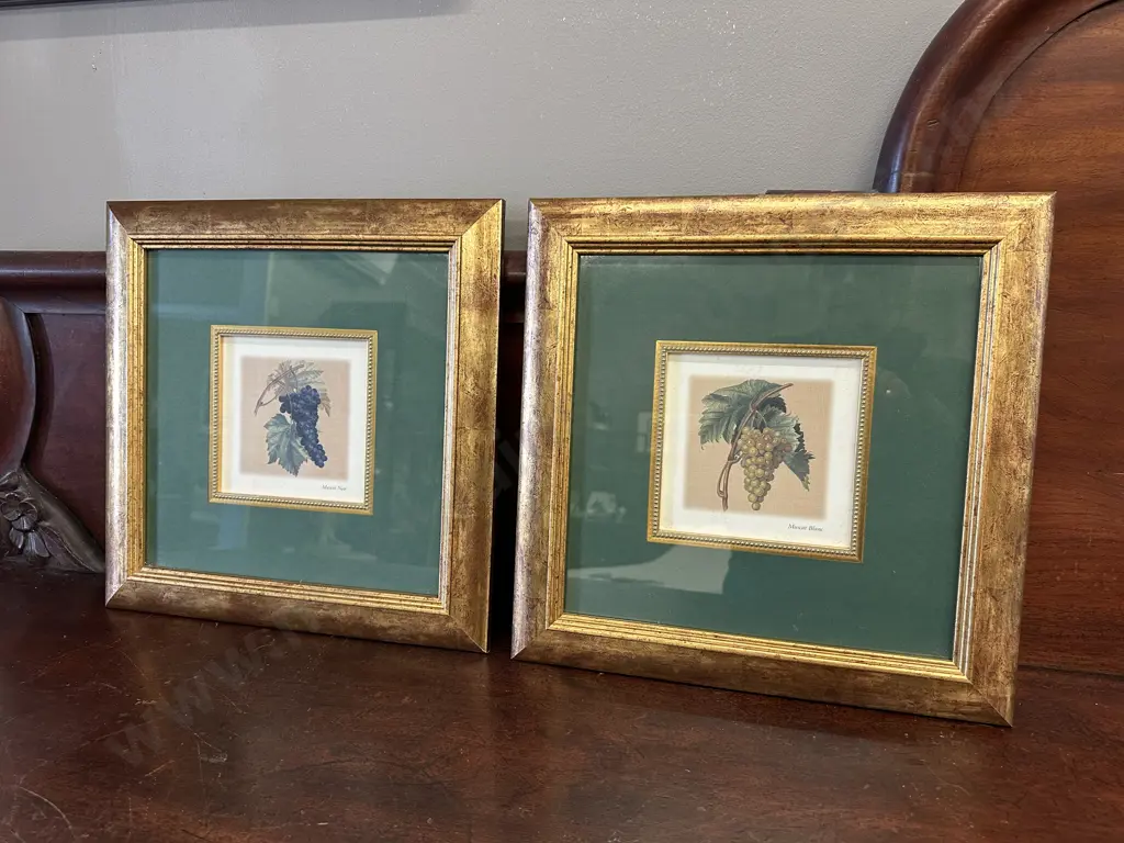 Pair Of Gilt Framed Artwork 'Muscat Blanc' & 'Muscat Noir' 37x37cm Image 1++