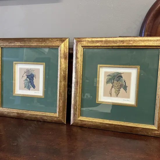 Pair Of Gilt Framed Artwork 'Muscat Blanc' & 'Muscat Noir' 37x37cm