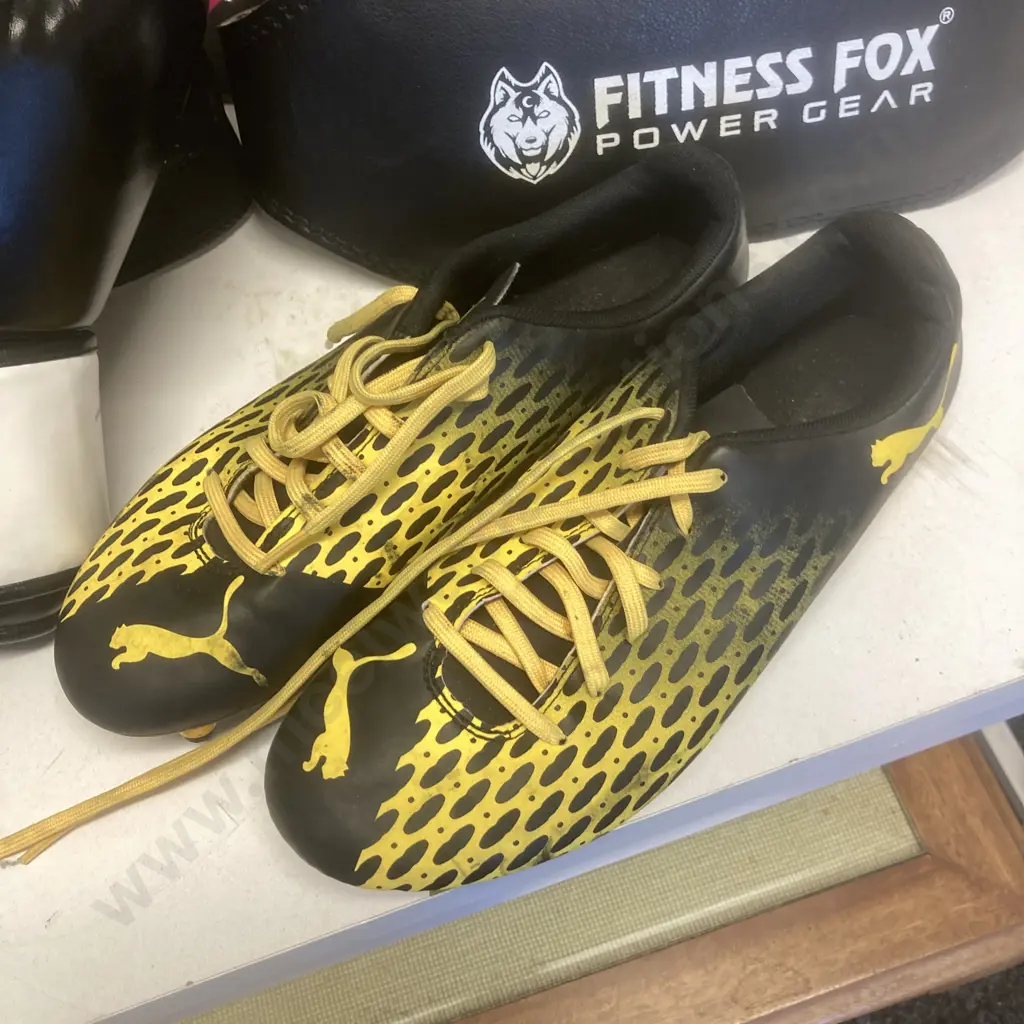 2 Pair of Boxing Gloves, RKA Focus Pads, Belts, Puma UK8 Football Boots Image 1++
