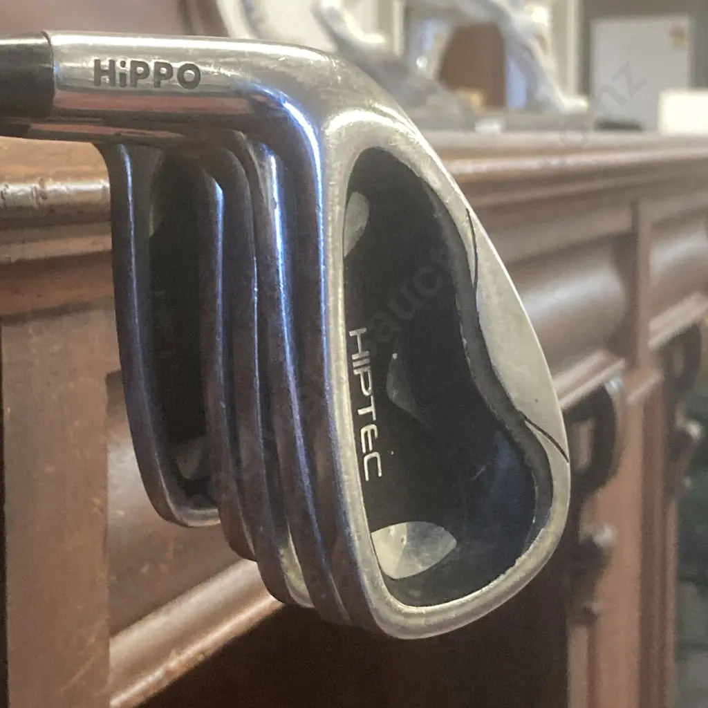 Callaway Big Bertha Titanium 10° Driver RCH 65w Firm Shaft, Hippo Hiptec Irons Set 5-PW, GolfGear TG-Tour 3 Wood, RH Image 1++